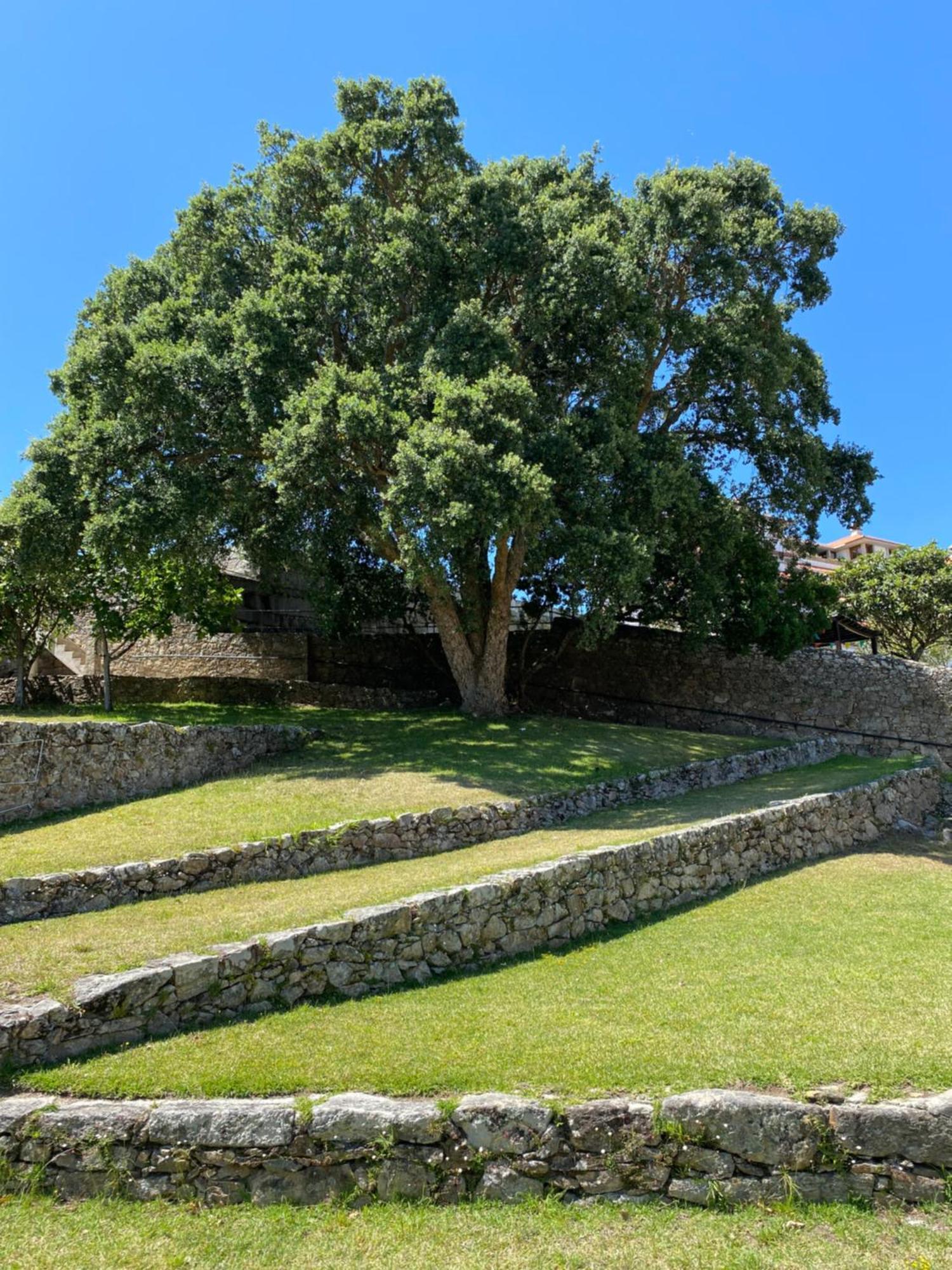 Apartamento Para 5 Con Vistas A Portugal Appartement A Guarda Buitenkant foto